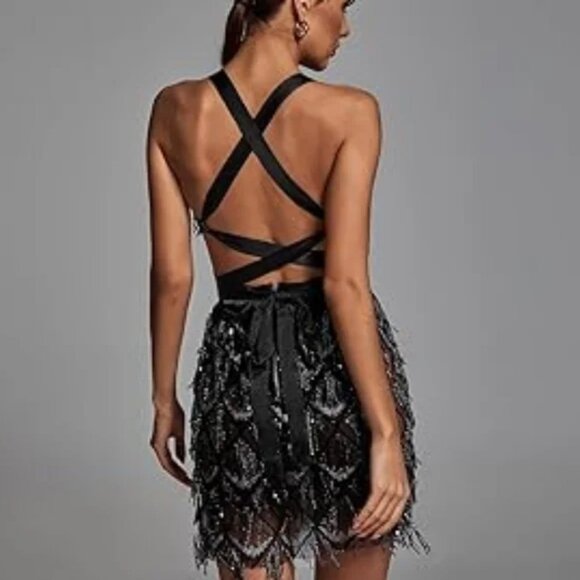 Dress L Sequin Tassel Fringe Sheer Mesh Champaign Louisa Mini Bella Barnett New - Picture 9 of 9